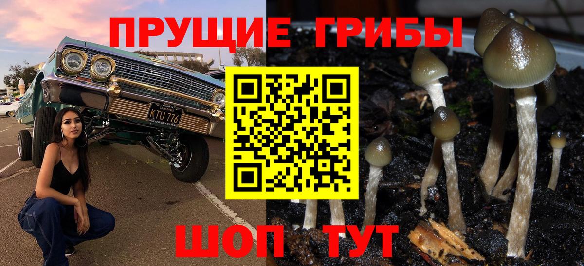 Галлюциногенные грибы Magic Shrooms  Псилоцибиновые грибы Magic Shrooms  Вход с VPN  Бор 