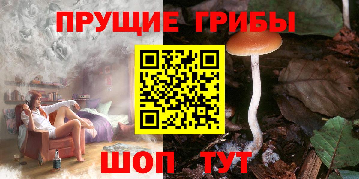 Галлюциногенные грибы прущие грибы Бор
